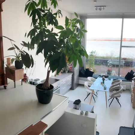 Spacious House Ijmeer - East Ijburg