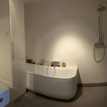 公寓 Spacious House Ijmeer - East Ijburg 阿姆斯特丹