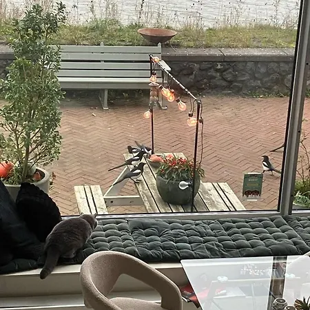 Spacious House Ijmeer - East Ijburg Appartement *