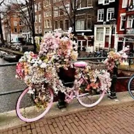 Spacious House Ijmeer - East Ijburg Lejlighed