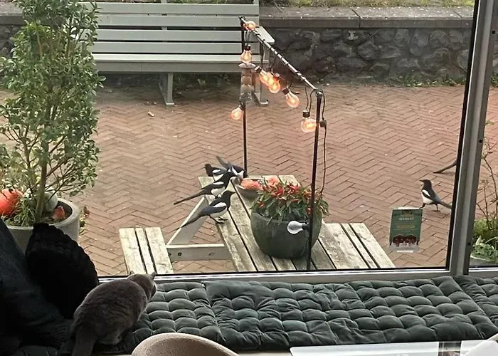 Spacious House Ijmeer - East Ijburg Apartment *